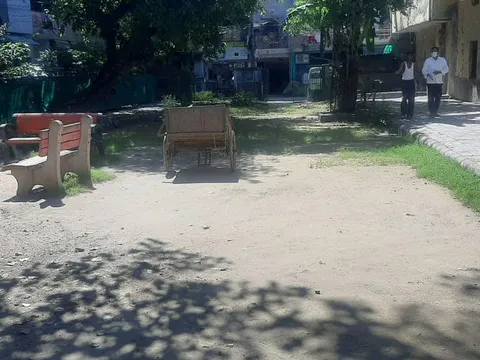 वरिष्ठ नागरिक व अन्य पार्कों की सफाई — 6