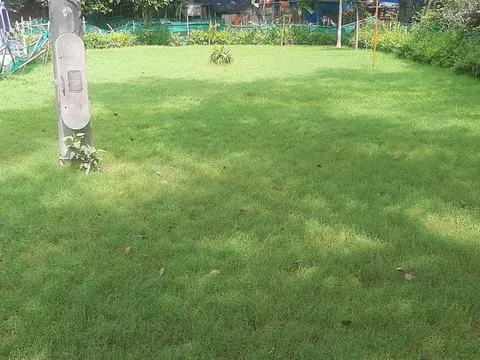 वरिष्ठ नागरिक व अन्य पार्कों की सफाई — 8