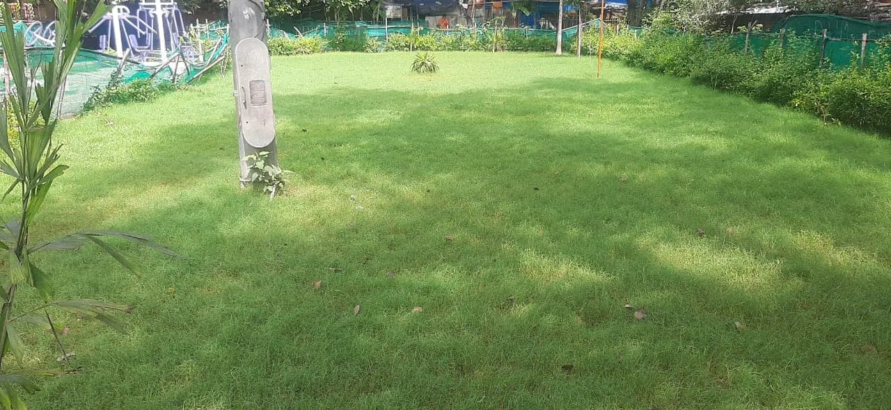वरिष्ठ नागरिक व अन्य पार्कों की सफाई — तस्वीर 8 में से 10
