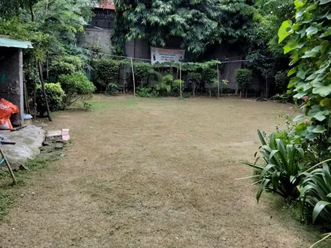 वरिष्ठ नागरिक व अन्य पार्कों की सफाई — 9