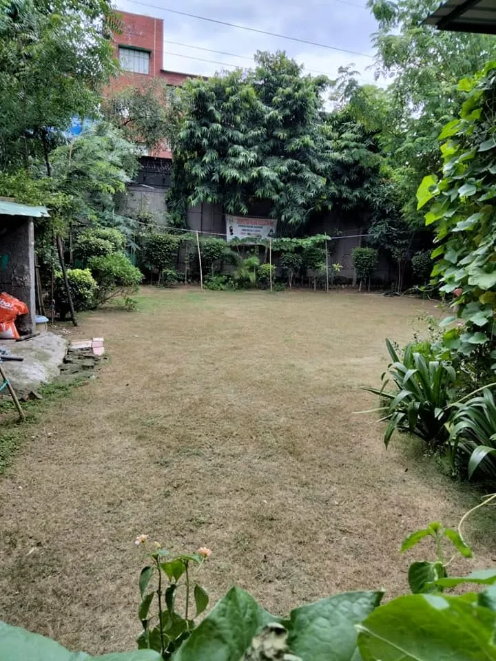 वरिष्ठ नागरिक व अन्य पार्कों की सफाई — तस्वीर 9 में से 10