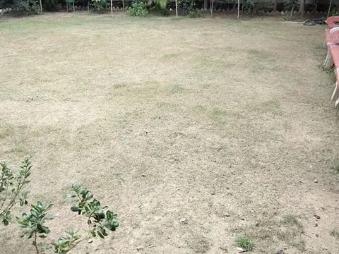वरिष्ठ नागरिक व अन्य पार्कों की सफाई — 10