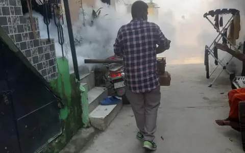 सनलाइट कॉलोनी–1 व वाल्मिकी कॉलोनी में एंटी मलेरिया फॉगिंग