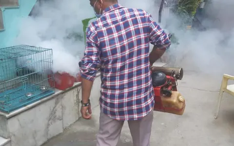 सनलाइट कॉलोनी–1 व वाल्मिकी कॉलोनी में एंटी मलेरिया फॉगिंग