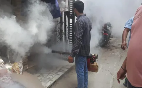 शालीमार पंजाबी कॉलोनी में एंटी मलेरिया फॉगिंग