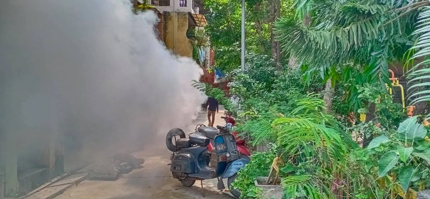 सनलाईट कॉलोनी – 1 के बाला साहेब गुरुद्वारा क्षेत्र में एंटी मलेरिया फॉगिंग — तस्वीर 16 में से 17