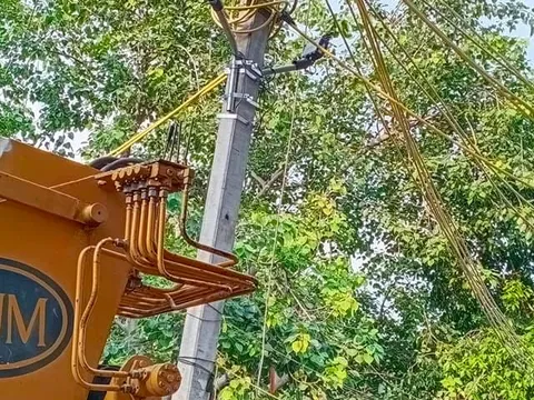 बेहलोलपुर में स्ट्रीट लाइट लगाने का कार्य शुरू — 5