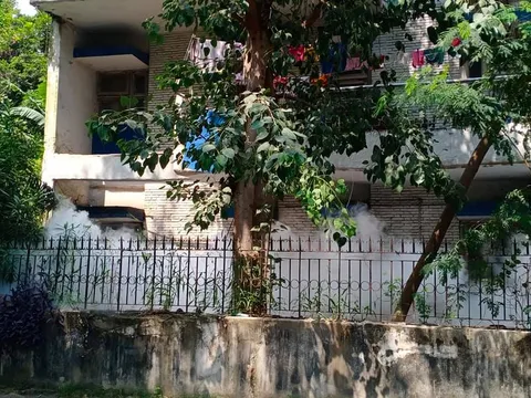 किलोकरी आटा चक्की, हिल क्वीन स्कूल व DTL कॉलोनी में एंटी मलेरिया फॉगिंग — 5