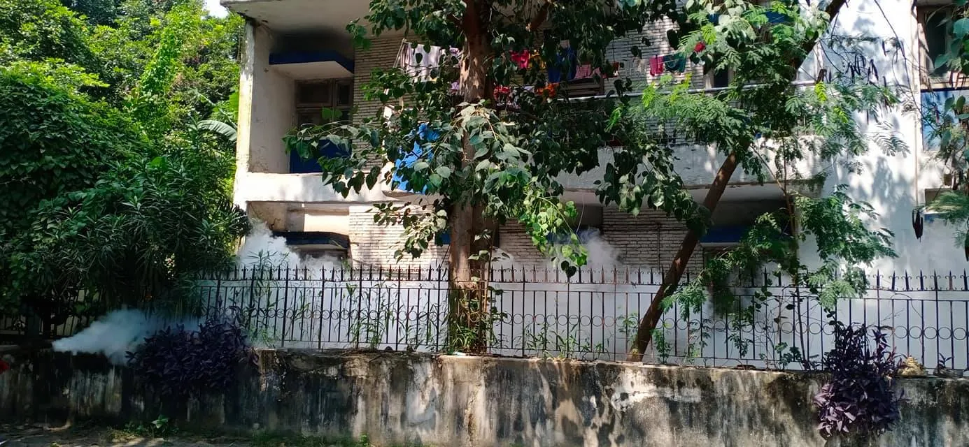 किलोकरी आटा चक्की, हिल क्वीन स्कूल व DTL कॉलोनी में एंटी मलेरिया फॉगिंग — तस्वीर 5 में से 14