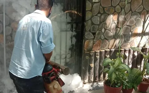 RWA पॉकेट B, सिद्धार्थ एक्सटेंशन द्वारा फॉगिंग के लिए पार्षद का धन्यवाद