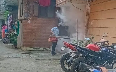 शालीमार पंजाबी कॉलोनी में एंटी मलेरिया फॉगिंग