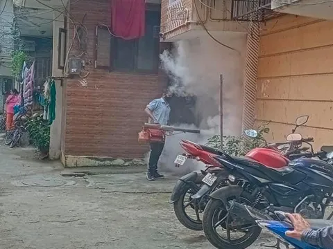 शालीमार पंजाबी कॉलोनी में एंटी मलेरिया फॉगिंग — 2