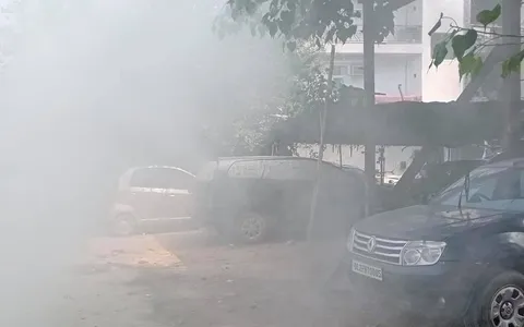 सिद्धार्थ एनक्लेव व शालीमार सिनेमा के पीछे एंटी मलेरिया फॉगिंग