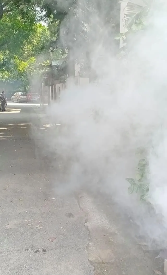 सिद्धार्थ एनक्लेव व शालीमार सिनेमा के पीछे एंटी मलेरिया फॉगिंग — तस्वीर 6 में से 10
