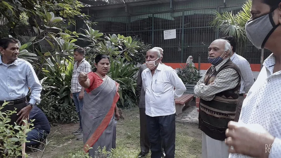 आश्रम DDA फ्लैट (80 गज) के हुकुमचंद पार्क में दौरा — तस्वीर 1 में से 8