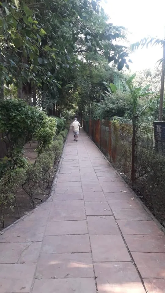 आश्रम DDA फ्लैट (80 गज) के हुकुमचंद पार्क में दौरा — तस्वीर 6 में से 8