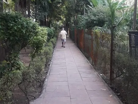 आश्रम DDA फ्लैट (80 गज) के हुकुमचंद पार्क में दौरा — 6