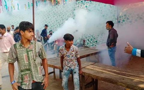 वार्ड के घाटों पर एंटी मलेरिया फॉगिंग