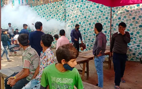वार्ड के घाटों पर एंटी मलेरिया फॉगिंग