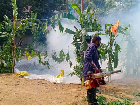 वार्ड के घाटों पर एंटी मलेरिया फॉगिंग — 6