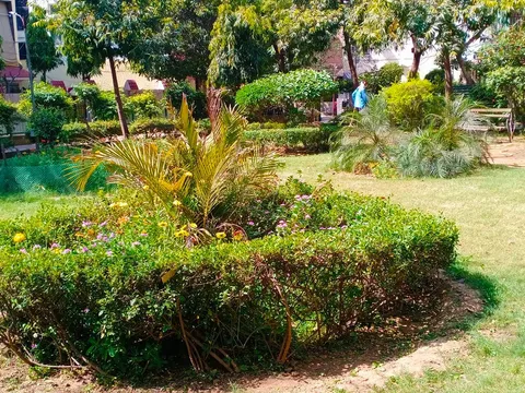 ट्राएंगल पार्क, सिद्धार्थ एंक्लेव में सीनियर सिटीजन हट का उद्घाटन — 5
