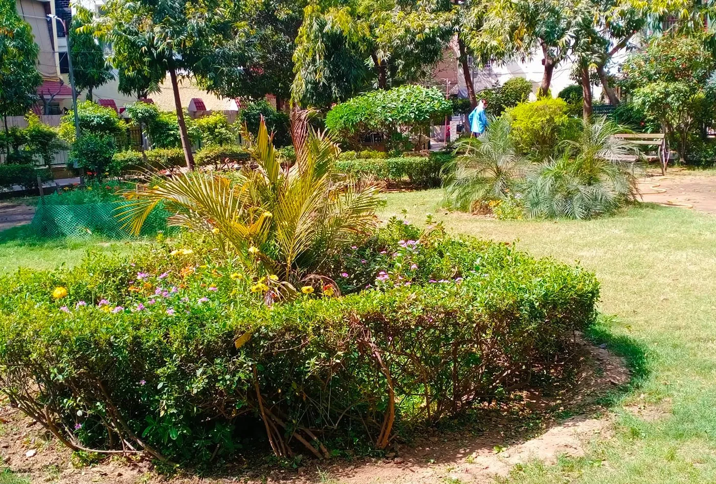ट्राएंगल पार्क, सिद्धार्थ एंक्लेव में सीनियर सिटीजन हट का उद्घाटन — तस्वीर 5 में से 9